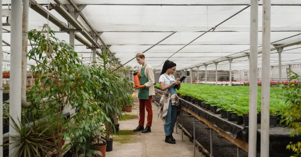 découvrez une ferme écologique innovante alliant technologie durable et pratiques respectueuses de l'environnement pour un avenir agricole responsable.